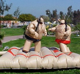 T11-125 Ensemble de sumo de boxe